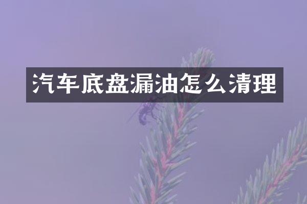汽车底盘漏油怎么清理