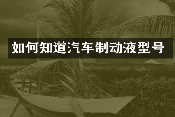 如何知道汽车制动液型号