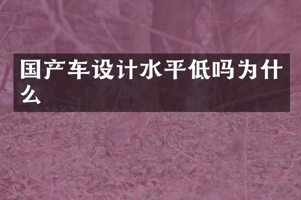 国产车设计水平低吗为什么