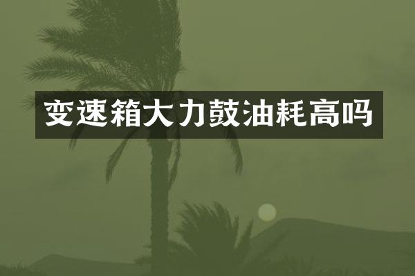 变速箱大力鼓油耗高吗
