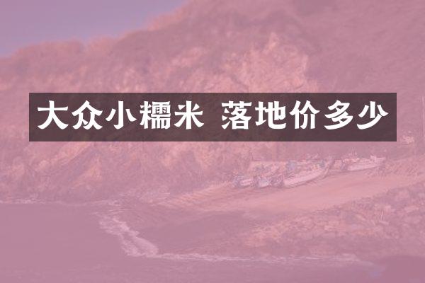 大众小糯米 落地价多少