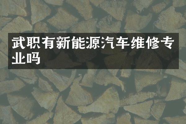 武职有新能源汽车维修专业吗