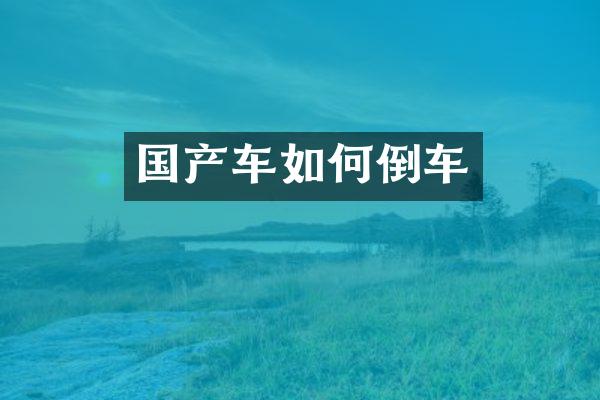 国产车如何倒车
