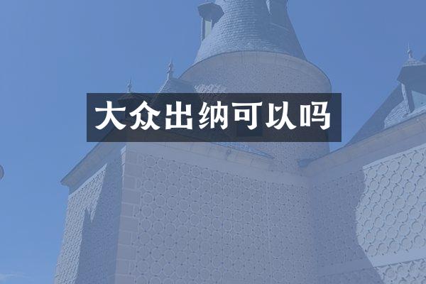 大众出纳可以吗