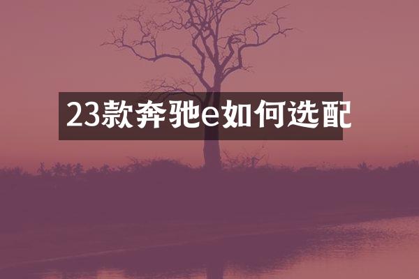 23款奔驰e如何选配