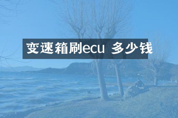 变速箱刷ecu 多少钱
