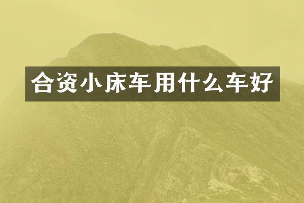 合资小床车用什么车好
