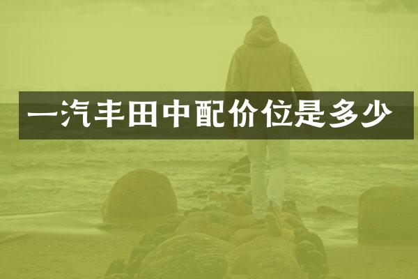 一汽丰配价位是多少