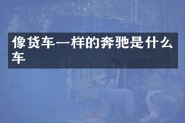 像货车一样的奔驰是什么车