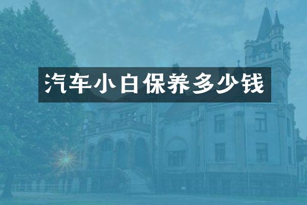 汽车小白保养多少钱