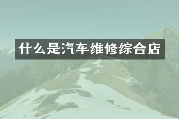 什么是汽车维修综合店