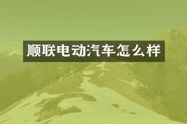 顺联电动汽车怎么样