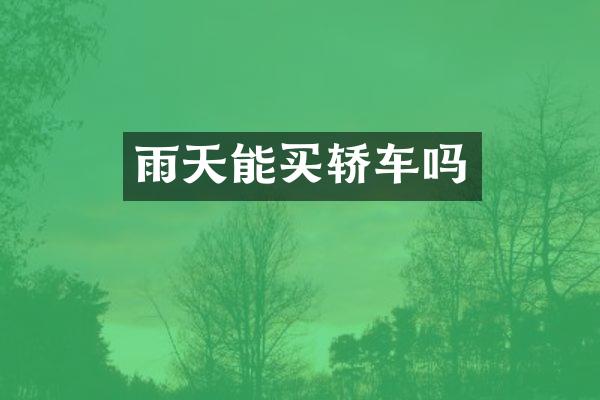 雨天能买轿车吗
