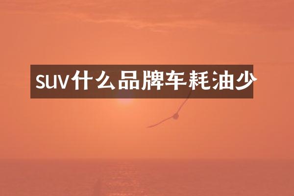 suv什么品牌车耗油少
