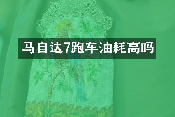 马自达7跑车油耗高吗