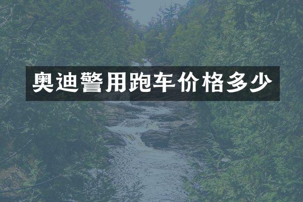 奥迪警用跑车价格多少
