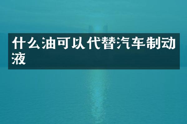 什么油可以代替汽车制动液