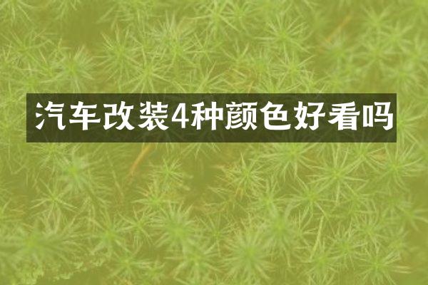 汽车改装4种颜色好看吗