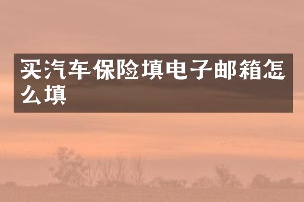 买汽车保险填电子邮箱怎么填