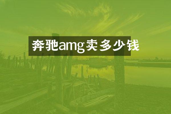 奔驰amg卖多少钱