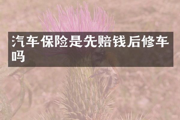 汽车保险是先赔钱后修车吗