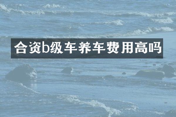 合资b级车养车费用高吗