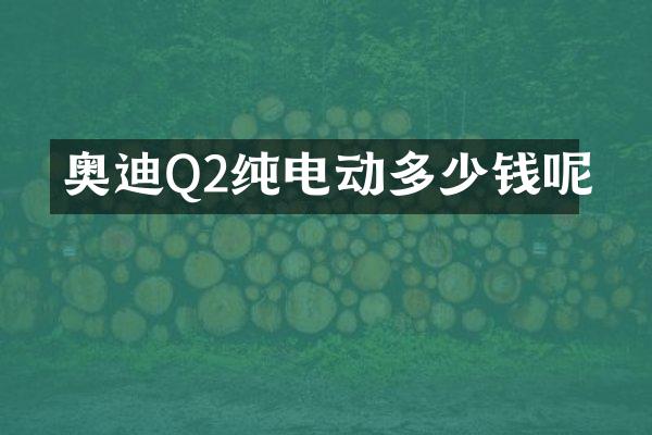 奥迪Q2纯电动多少钱呢