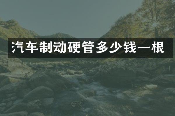 汽车制动硬管多少钱一根