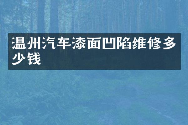 温州汽车漆面凹陷维修多少钱