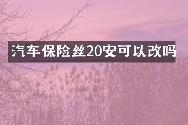 汽车保险丝20安可以改吗