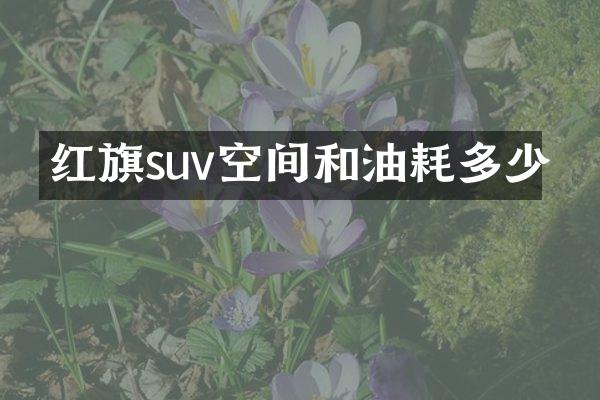 红旗suv空间和油耗多少