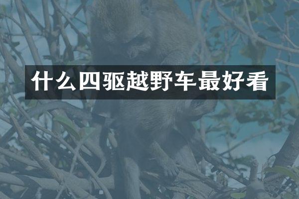 什么四驱越野车最好看