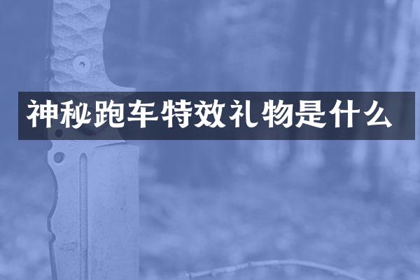 神秘跑车特效礼物是什么