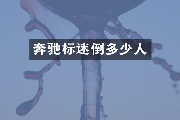 奔驰标迷倒多少人