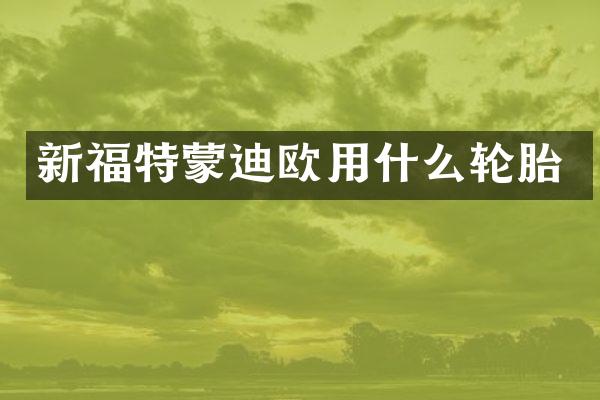 新福特蒙迪欧用什么轮胎