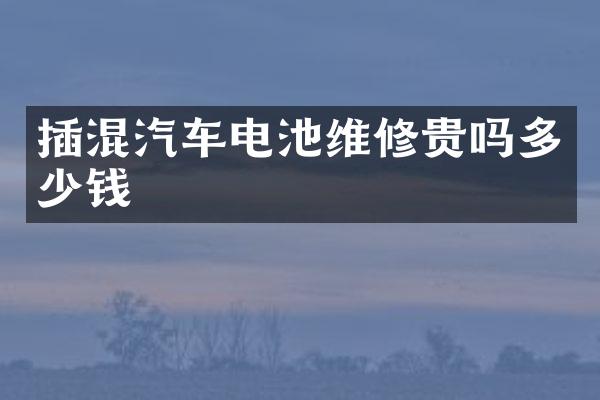 插混汽车电池维修贵吗多少钱