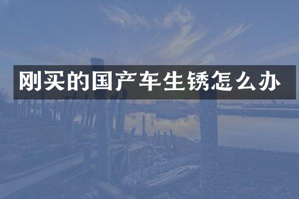 刚买的国产车生锈怎么办