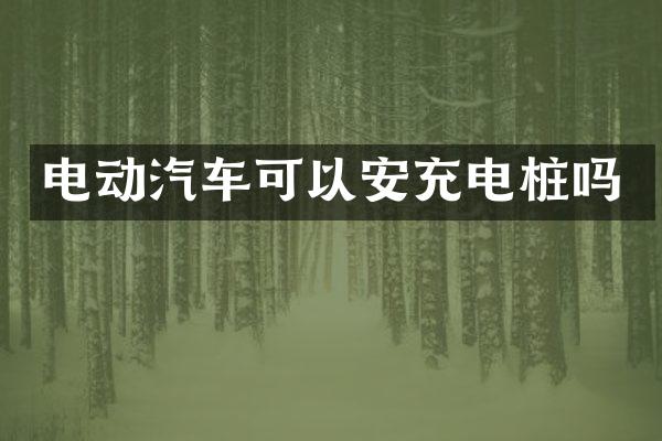 电动汽车可以安充电桩吗