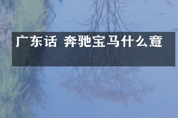 广东话 奔驰宝马什么意思