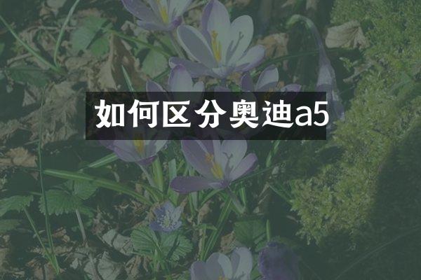 如何区分奥迪a5