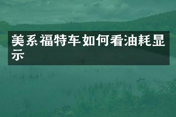 美系福特车如何看油耗显示