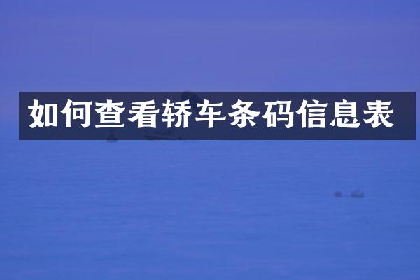 如何查看轿车条码信息表