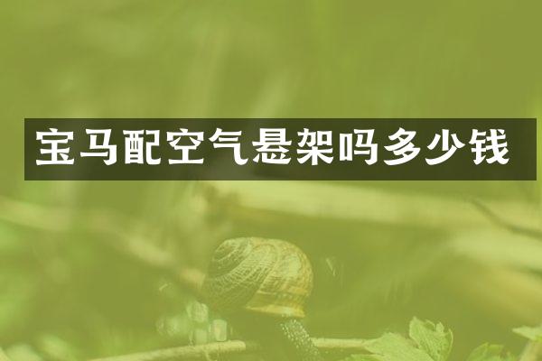 宝马配空气悬架吗多少钱