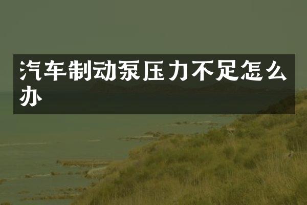 汽车制动泵压力不足怎么办