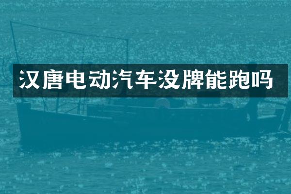 汉唐电动汽车没牌能跑吗
