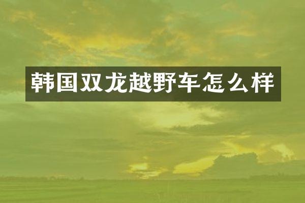韩国双龙越野车怎么样