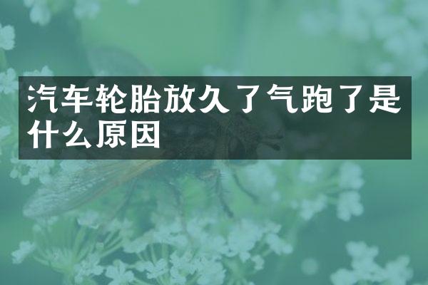 汽车轮胎放久了气跑了是什么原因