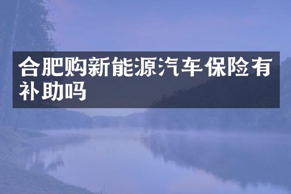 合肥购新能源汽车保险有补助吗
