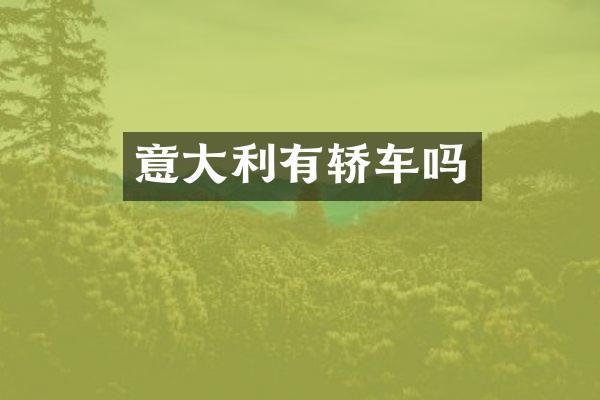 意大利有轿车吗