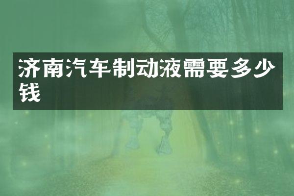 济南汽车制动液需要多少钱